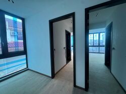 Palm Grove Avenue (D19), Terrace #497829661
